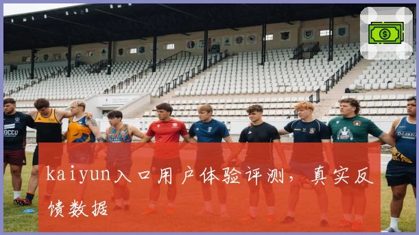 kaiyun入口用户体验评测,真实反馈数据