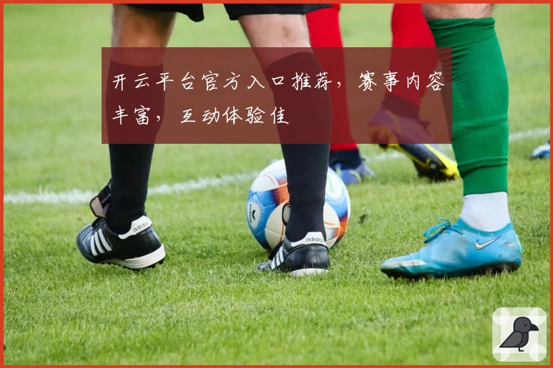 开云平台官方入口推荐，赛事内容丰富，互动体验佳