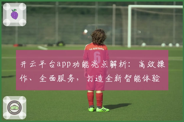 开云平台app功能亮点解析：高效操作、全面服务，打造全新智能体验