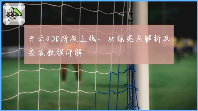 开云app新版上线，功能亮点解析及安装教程详解